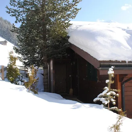 Nadeschda Adelboden